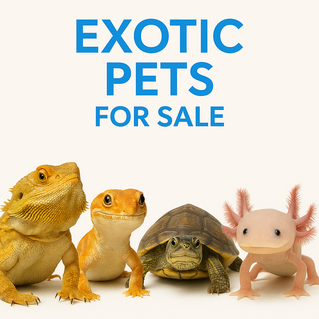 Exotic Pets