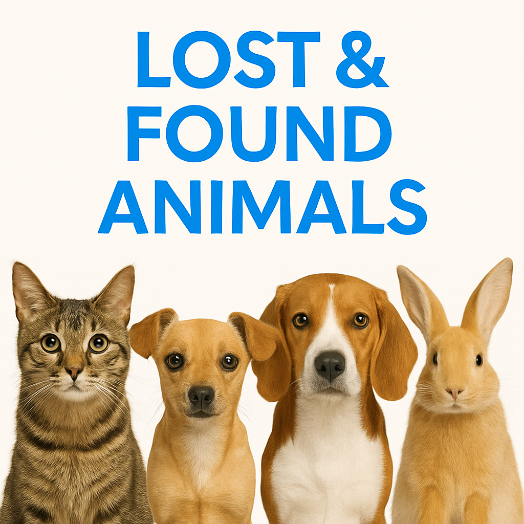 Lost & Found Animals