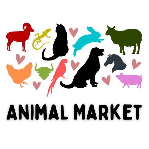 Animal Market